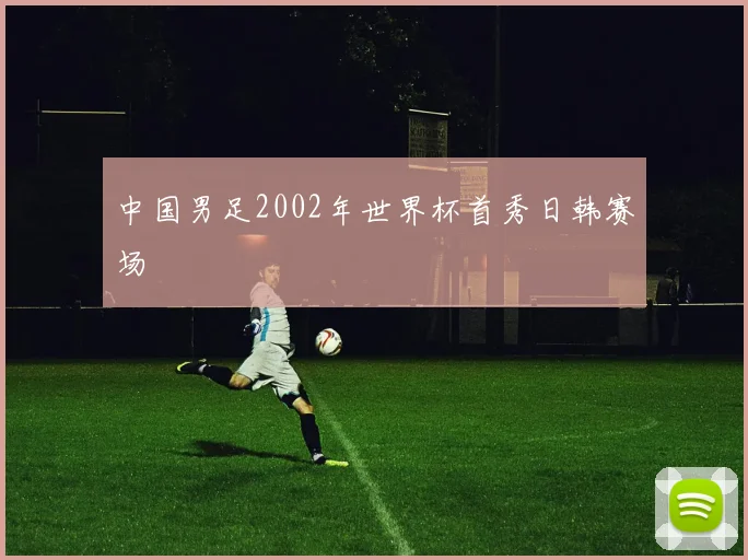 中国男足2002年世界杯首秀日韩赛场