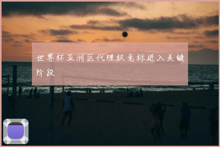 世界杯亚洲区代理权竞标进入关键阶段
