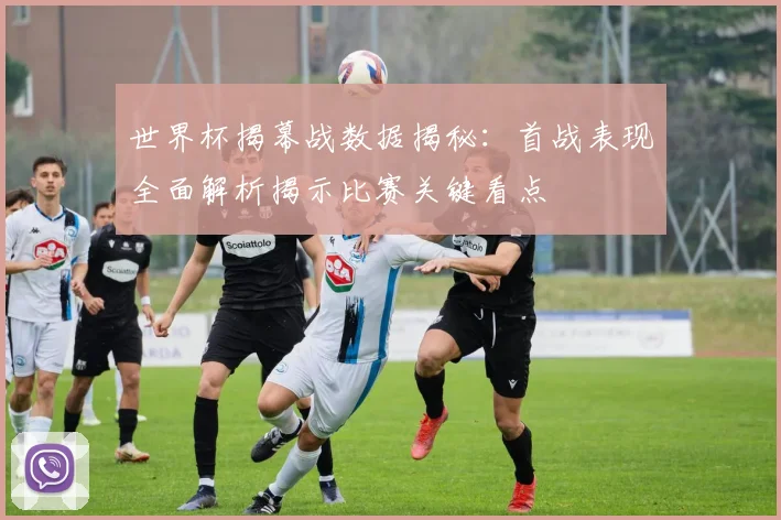 世界杯揭幕战数据揭秘:首战表现全面解析揭示比赛关键看点
